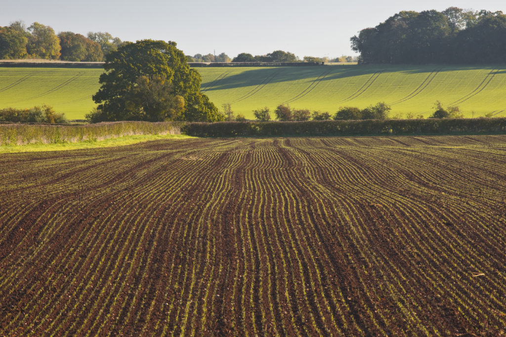 beautiful English countryside