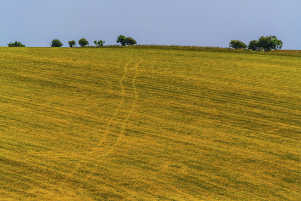 Lovely green fields