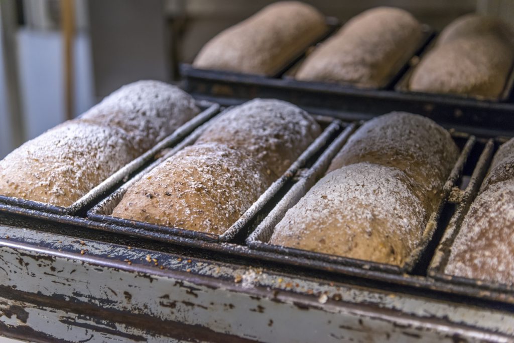 Traditional bread on cooling rack in bakery Artisan loaves of bread on cooling rack.