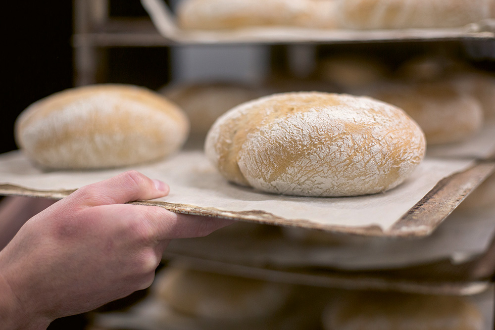 SPECB-0584 Freshly frozen bread