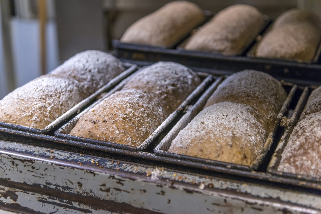 Traditional bread on cooling rack in bakery Artisan loaves of bread on calling rack.