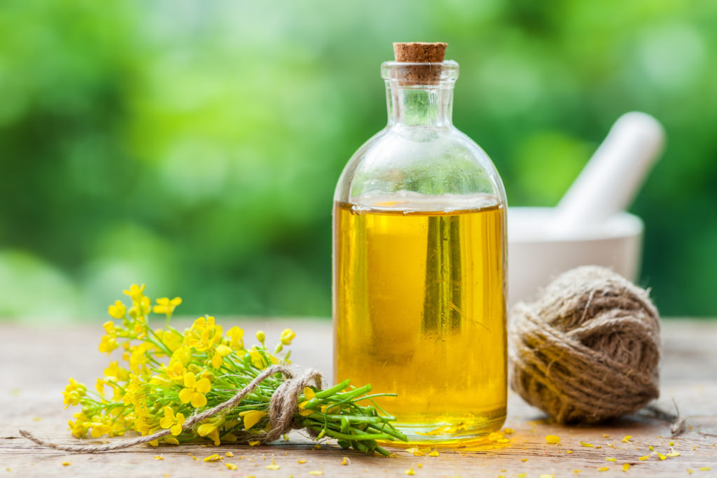 Bottle of rapeseed oil (canola) and repe flowers Rape seed oil and flowers on a wooden surface