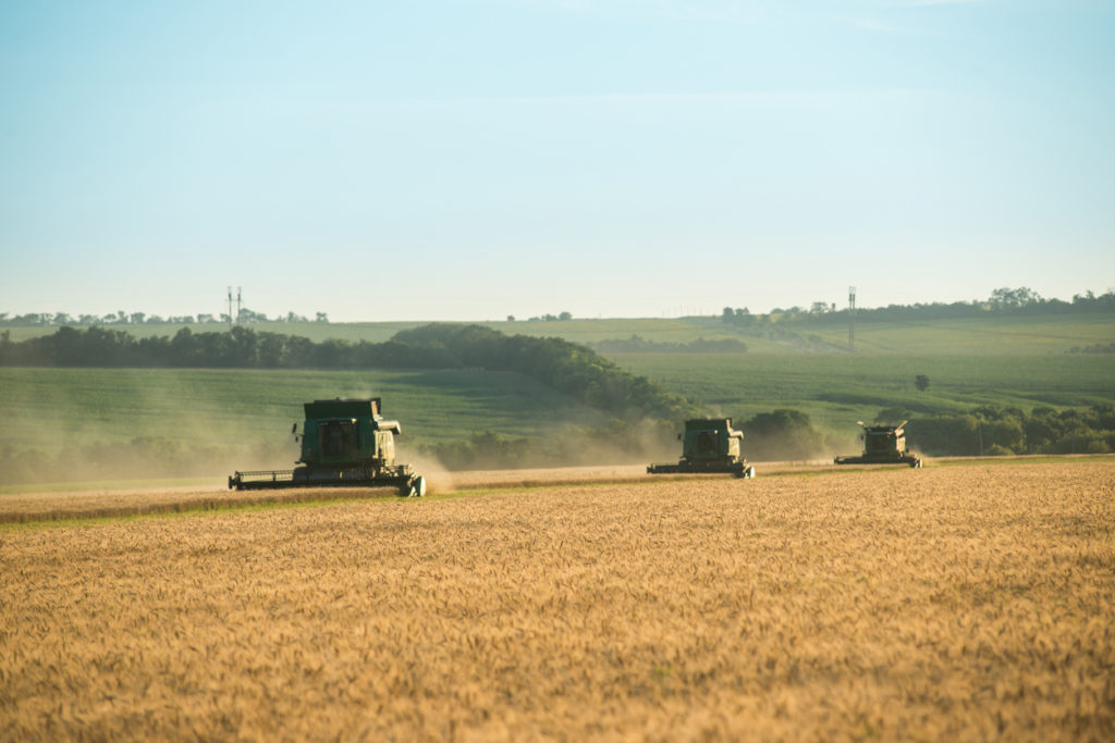 Three modern combine harvester working on a wheat crop
