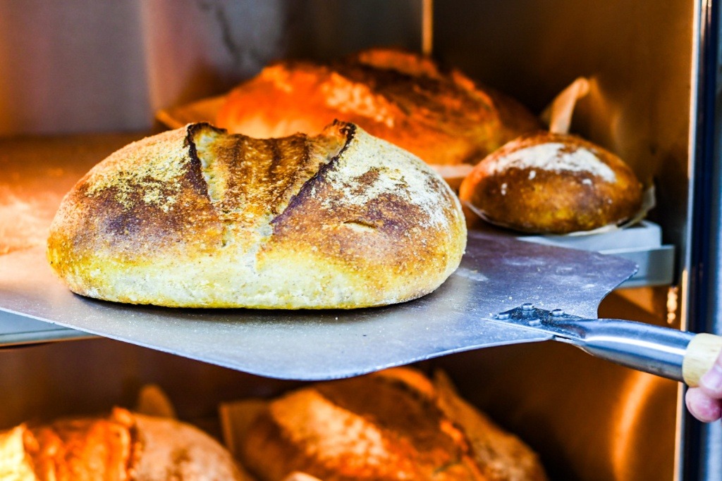 Sourdough Loaf freshly baked